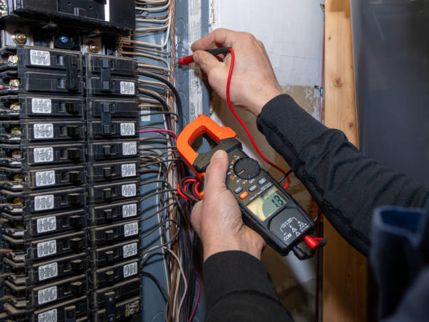 Best Ceiling Fan Installation Electrician  in Wayne, IL